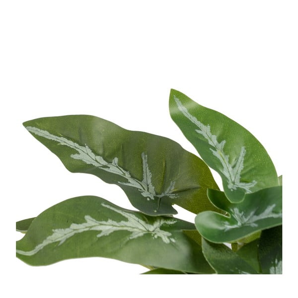 Umělá rostlina (výška 21 cm) Syngonium – Ixia-image-2