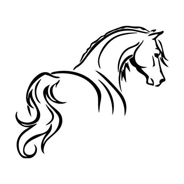 Samolepka Fanastick Elegant Horse-image-2