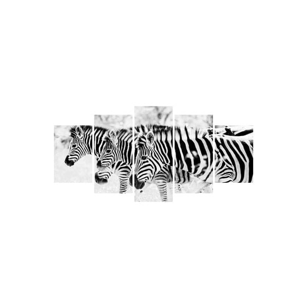 Vícedílný obraz Black&White no. 73, 100x50 cm