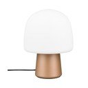 Stolní lampa v bílo-bronzové barvě se skleněným stínidlem (výška 27 cm) Steen – Trio