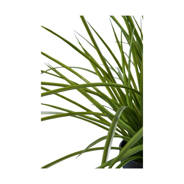 Umělá tráva (výška 45 cm) – House Nordic-image-3