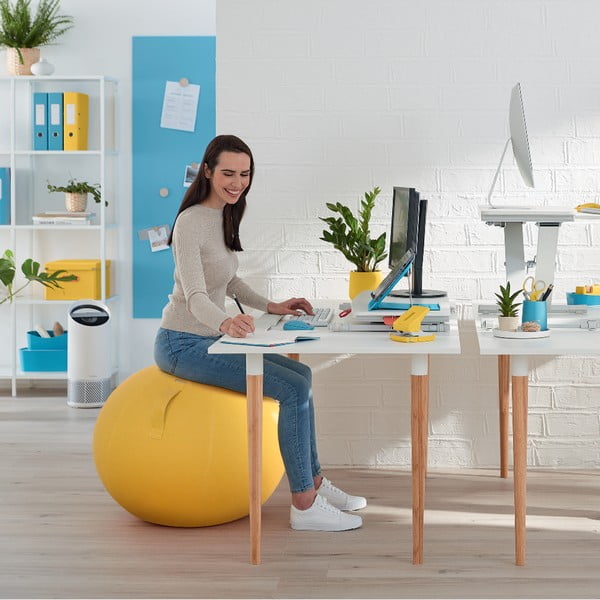 Ergonomický sedací míč ø 65 cm Ergo – Leitz-image-4