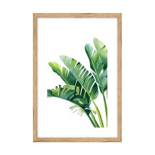 Plakát 60x90 cm Musa – knor