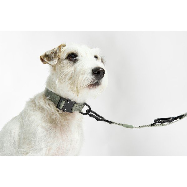 Tmavě šedý obojek velikost L/XL délka 40 cm Modena Asphalt L/XL – MiaCara-image-1