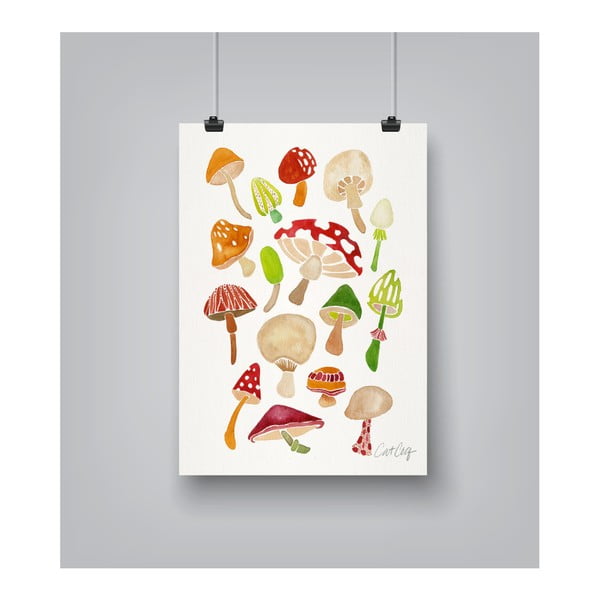 Plakát Americanflat Mushrooms by Cat Coquillette, 30 x 42 cm