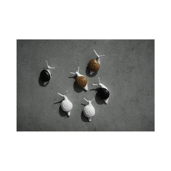 Sada 6 magnetů Qualy&CO Snail-image-3