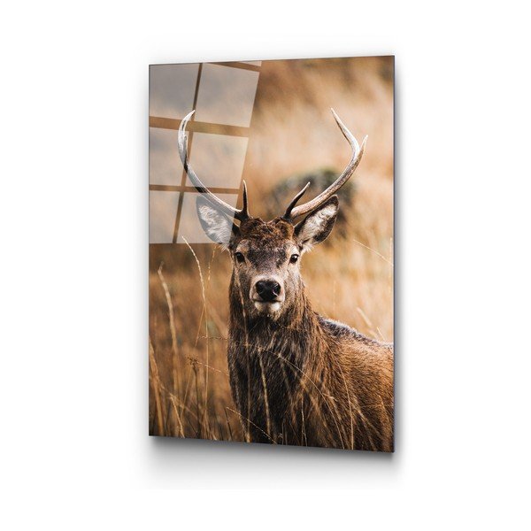 Skleněný obraz 70x100 cm Deer – Wallity-image-2