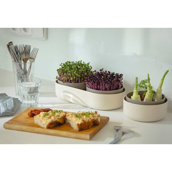 Klíčící miska, ø 16 cm Regrow - Plastia-image-4