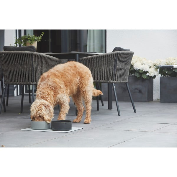 Porcelánová miska pro psa ø 16 cm Scodella Graphite S/M – MiaCara-image-1