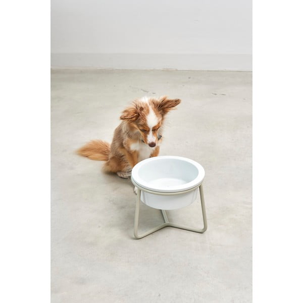 Porcelánová miska s podstavcem pro psa ø 20 cm Pranzo Greige M – MiaCara-image-1