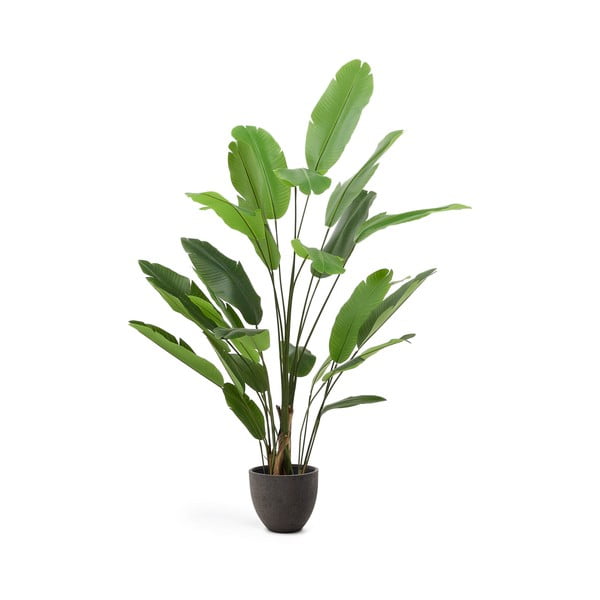 Umělý banánovník (výška 210 cm) – Kave Home