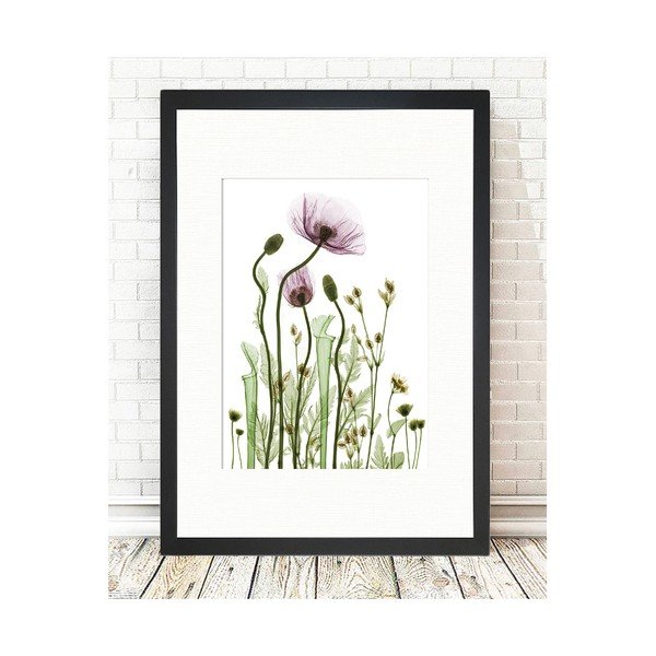 Obraz Tablo Center Wild Plants, 24 x 29 cm-image-1