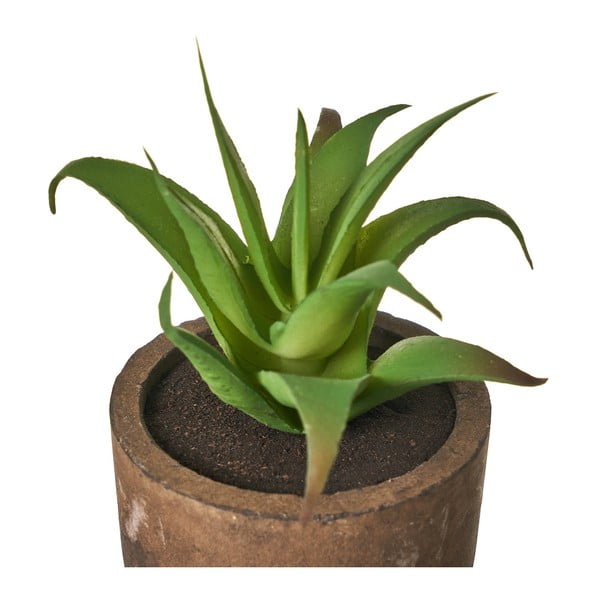 Umělé rostliny v sadě 4 ks (výška 10 cm) Cactus – Casa Selección-image-2