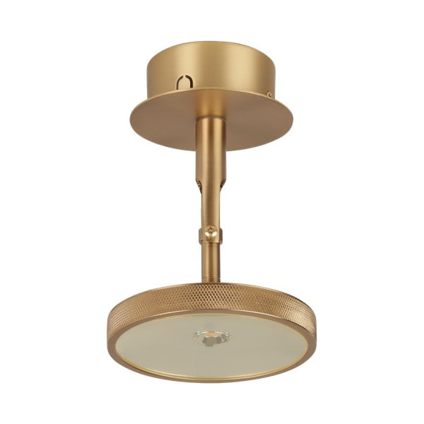 LED bodové svítidlo ve zlaté barvě ø 12 cm Asteria Spot – UMAGE