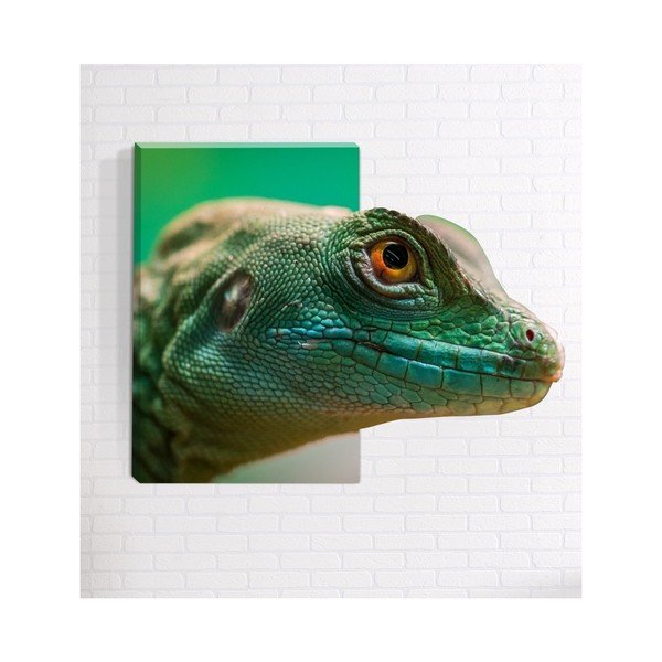 Nástěnný 3D obraz Mosticx Ještěr, 40 x 60 cm