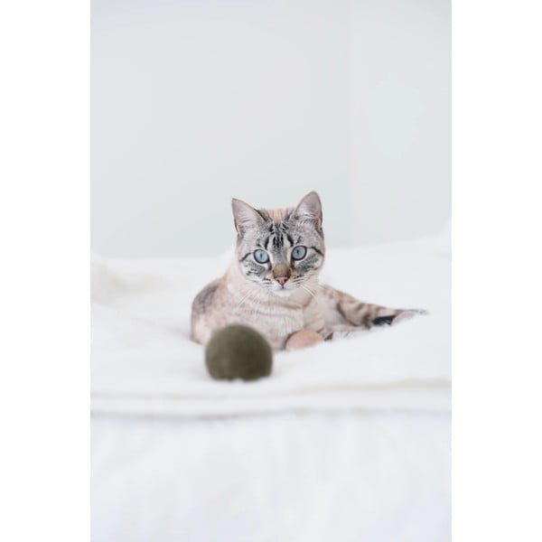 Hračky pro kočku v sadě 3 ks Globo Nougat – MiaCara-image-3