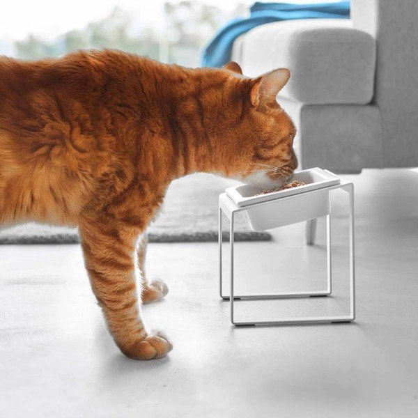 Keramická miska s podstavcem pro domácího mazlíčka Nooks – YAMAZAKI-image-2