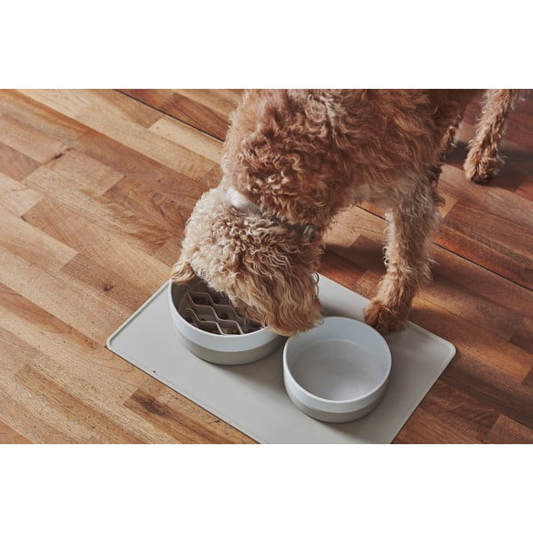 Porcelánová miska pro psa ø 21,5 cm Coppa Greige M/L – MiaCara-image-3