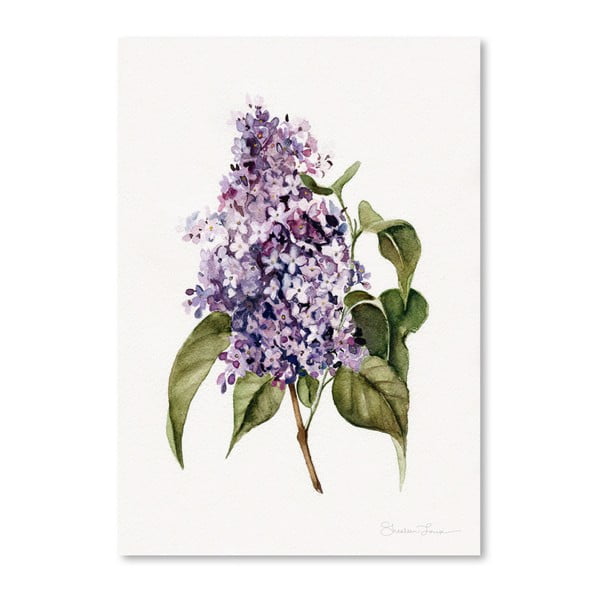 Plakát Americanflat Lilac Branch by Shealeen Louise, 30 x 42 cm