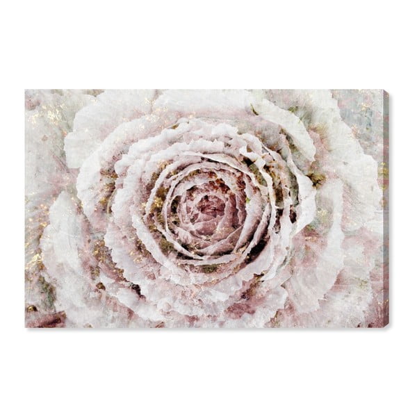 Obraz Oliver Gal Blush Winter Flower, 60 x 40 cm