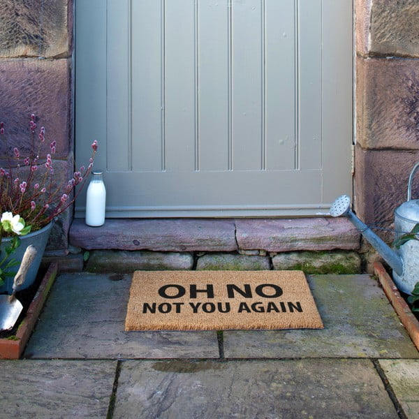 Rohožka z kokosového vlákna 40x60 cm Not You Again – Artsy Doormats-image-4