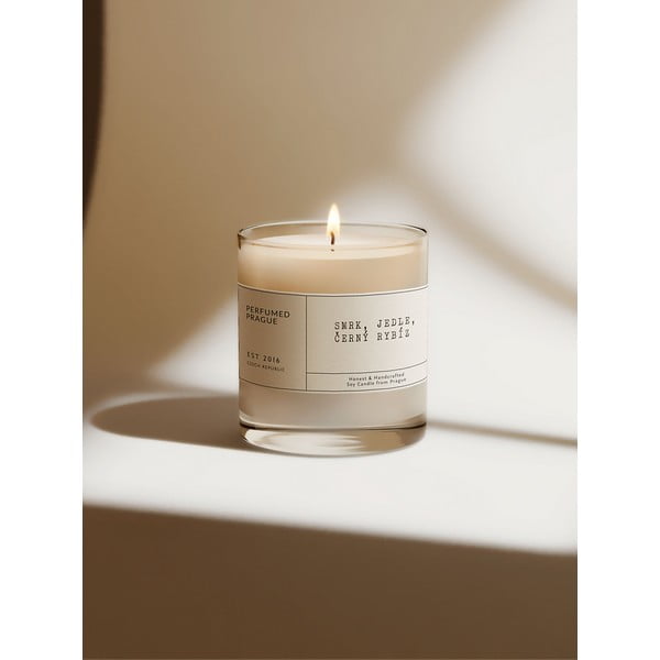 Vonná sojová svíčka doba hoření 40 h #79 Black Currant – Perfumed Prague-image-3