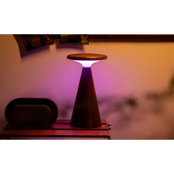 LED stolní lampa v tmavě přírodní barvě s dřevěným stínidlem (výška 21 cm) Sylva – Gingko-image-4