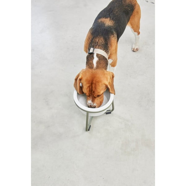 Porcelánová miska s podstavcem pro psa ø 20 cm Pranzo Grolive M – MiaCara-image-4