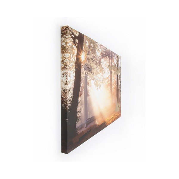 Obraz Graham & Brown Metallic Forest, 80 x 60 cm-image-2