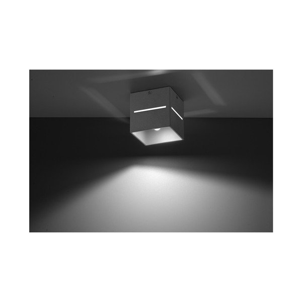 Šedé stropní světlo Sollux Lorum-image-2