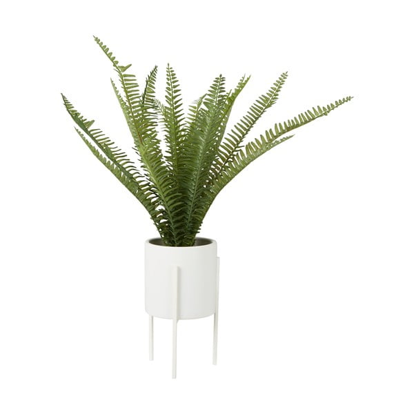 Umělá kapradina (výška 56 cm) Fiori – Premier Housewares-image-1