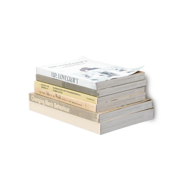 Kovové police ve stříbrné barvě v sadě 3 ks 14 cm Conceal – Umbra-image-3