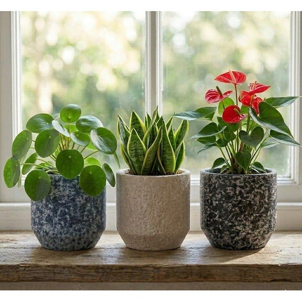 Keramický ručně vyrobený obal na květináč ø 14 cm Almada – Ego Dekor-image-1