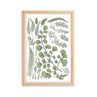 Obraz s rámem z borovicového dřeva Surdic Leafes Collection, 50 x 70 cm