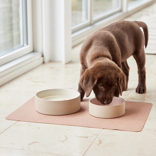 Keramická miska pro psa ø 13 cm Sia – OYOY Living Design-image-2