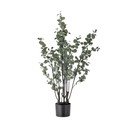 Umělý eukalyptus (výška 117 cm) – Bloomingville