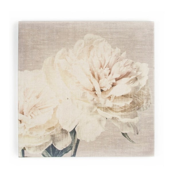 Obraz Graham & Brown Cream Petals, 60 x 60 cm