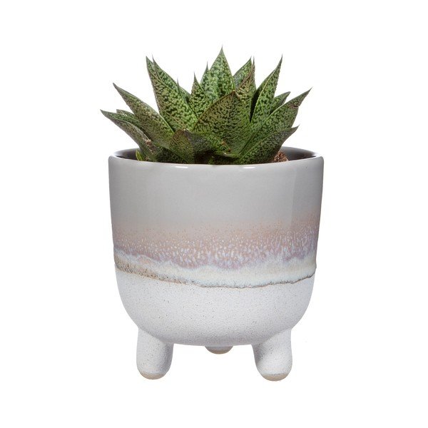 Šedý květináč Sass & Belle Bohemian Home Mojave, ø 11,7 cm-image-2