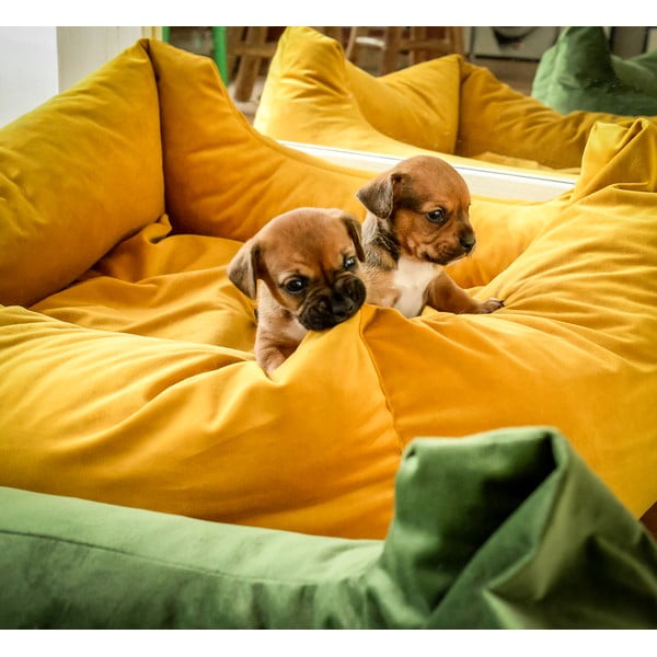 Žlutý pelíšek pro psa 80x67 cm – Madison-image-1