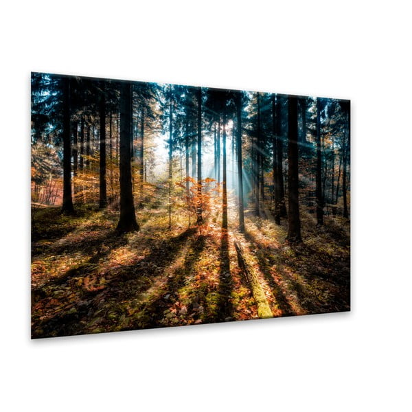 Obraz Styler Glasspik Autumn Sunset, 70 x 100 cm-image-2