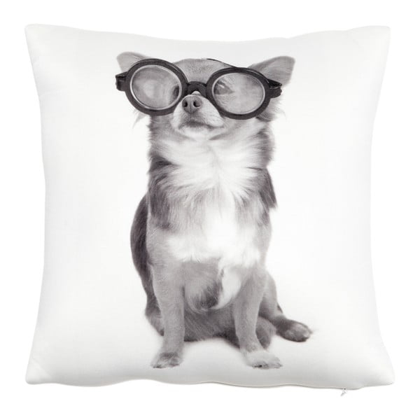 Polštář s náplní Dog with Glasses, 30x30 cm