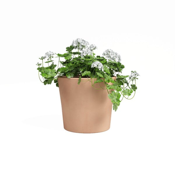 Květináč z terakoty ø 24 cm Manuel – Artevasi-image-1