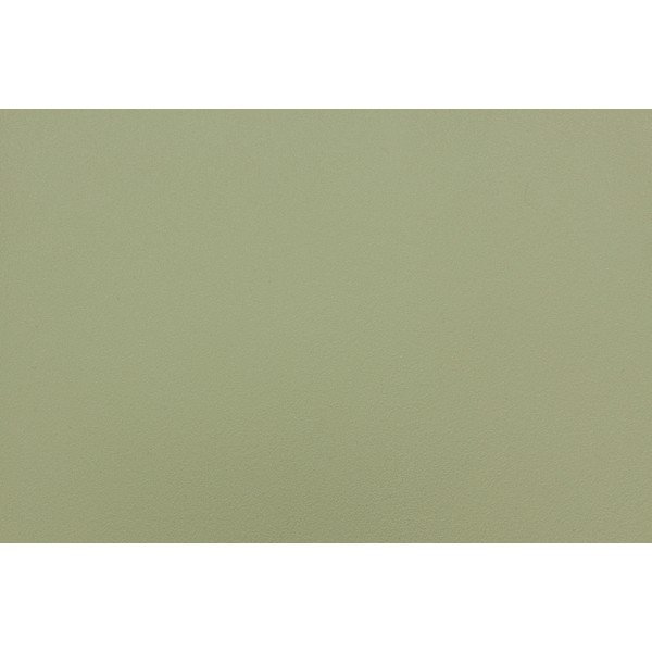 Zelené plastové zahradní židle v sadě 4 ks Sjoerd – White Label-image-1
