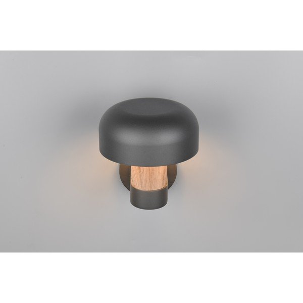 Nástěnné venkovní svítidlo (výška 24,5 cm) Fraser – Trio-image-2