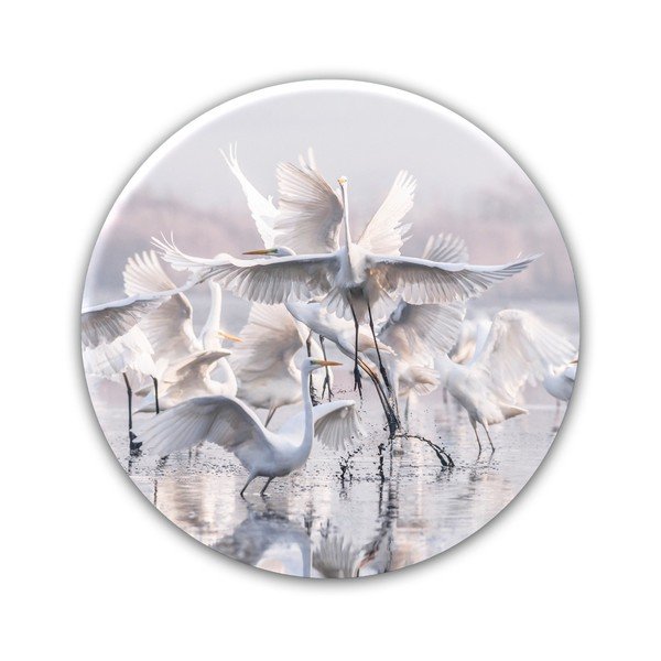Nástěnná dekorace Styler Ring Herons, ø 70 cm