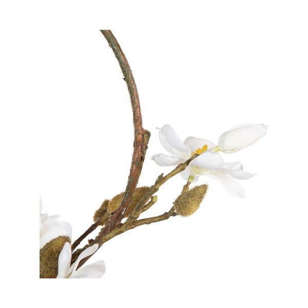 Věnec Magnolia – Ixia-image-1