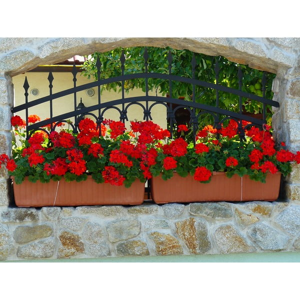 Hnědý samozavlažovací truhlík Plastia Siesta, délka 80 cm-image-1