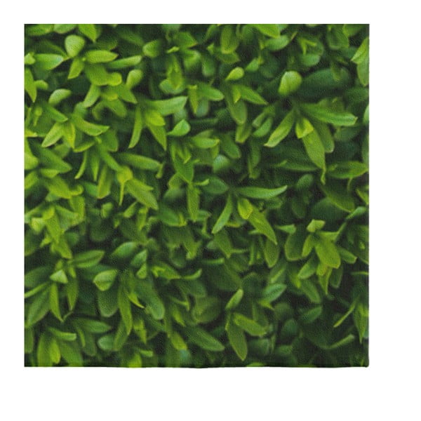 Zelený koberec Oyo home Suzzo Grass, 140 x 220 cm-image-3