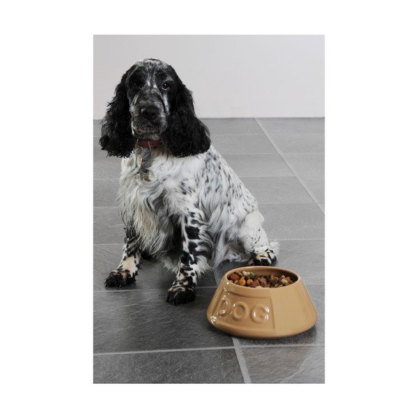 Kameninová miska pro psy Mason Cash Pet Cane Dog, ø 21 cm-image-2