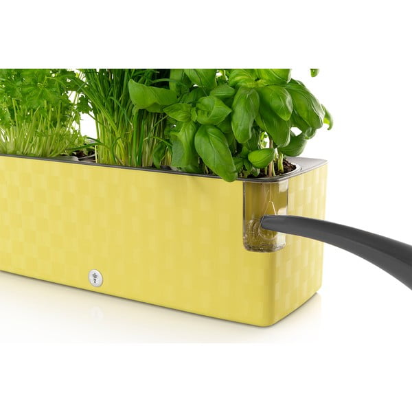 Bazalkově zelený samozavlažovací květináč Flower Lover Cobble Trio, 40 x 14 cm-image-1